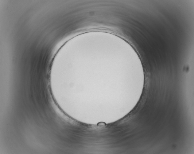 X0000110901531200907301555