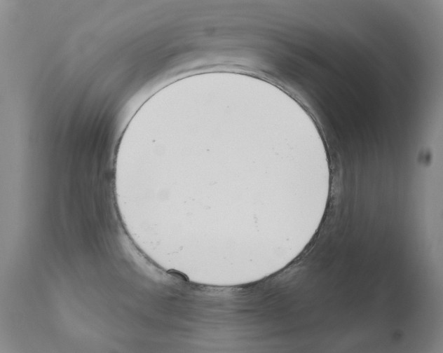 X0000110901532200907301555