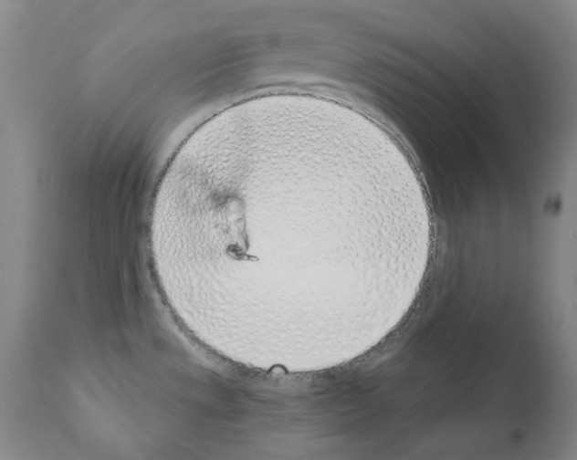 X0000110901533200907301555