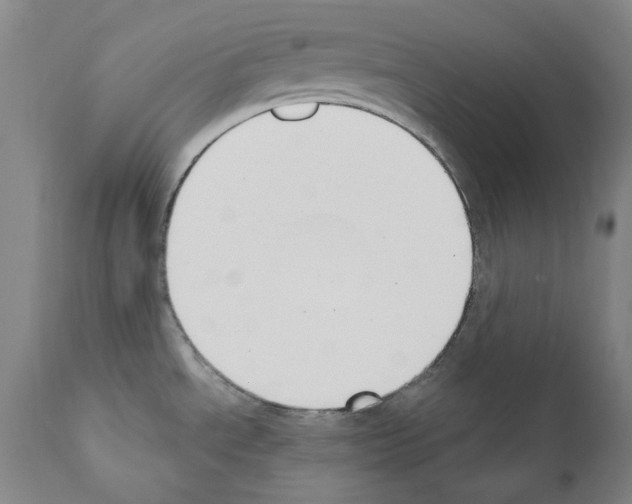 X0000110901534200907301555