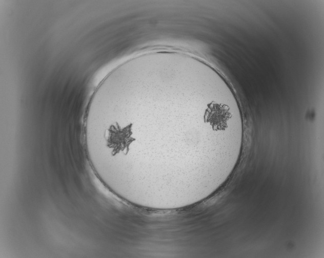 X0000110901535200907301555