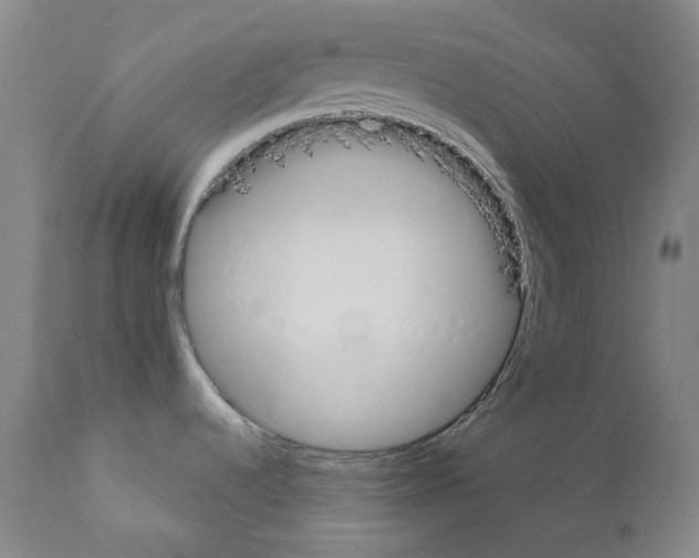 X0000110901536200907301555