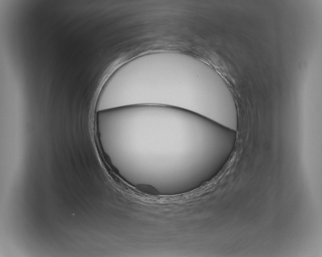 X0000110910003200906181015