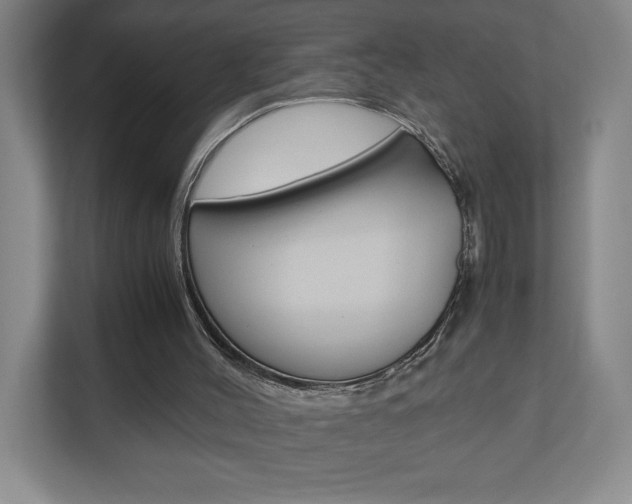 X0000110910004200906181015