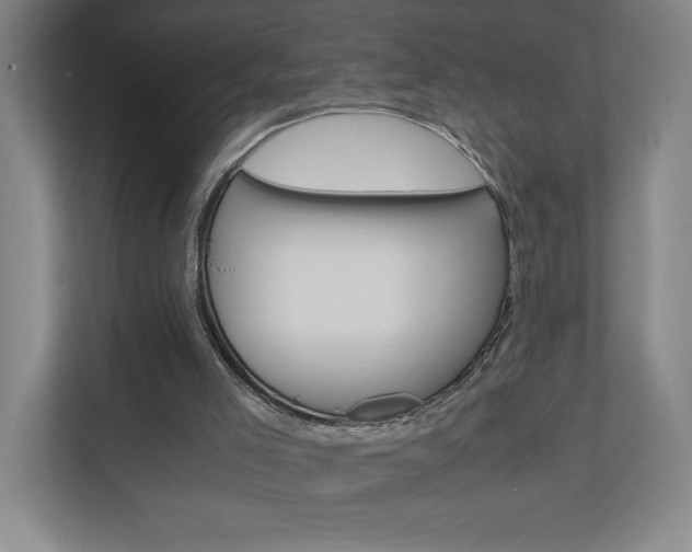 X0000110910005200906181015