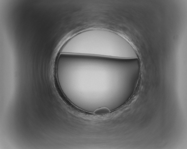 X0000110910007200906181015