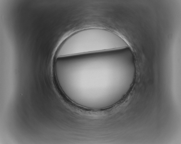 X0000110910008200906181015