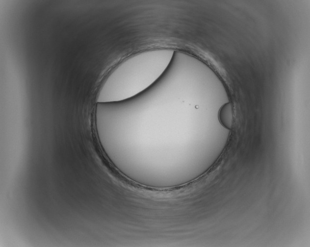 X0000110910010200906181015