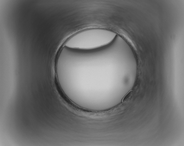 X0000110910011200906181015