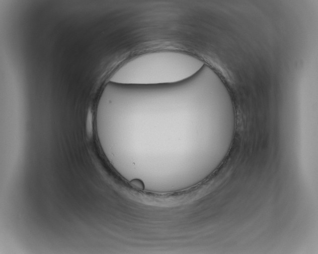 X0000110910014200906181015