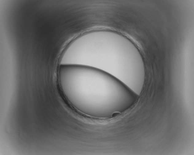 X0000110910015200906181015