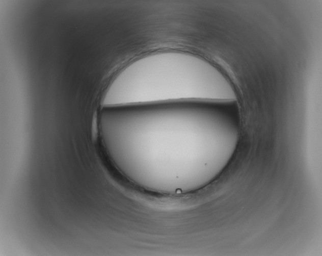 X0000110910020200906181015