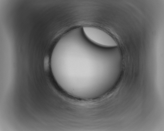 X0000110910024200906181015