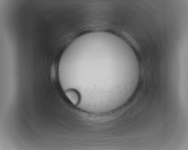 X0000110910026200906181015