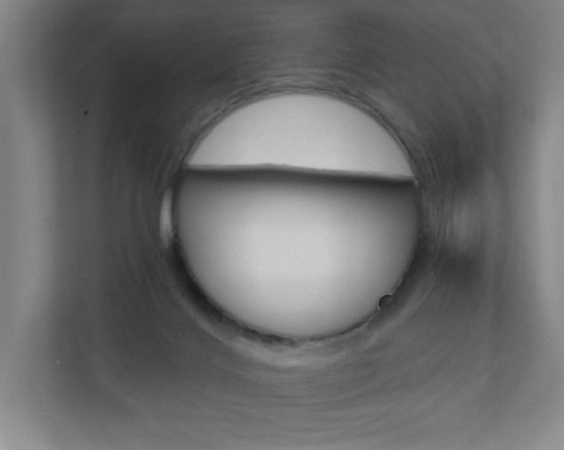 X0000110910028200906181015