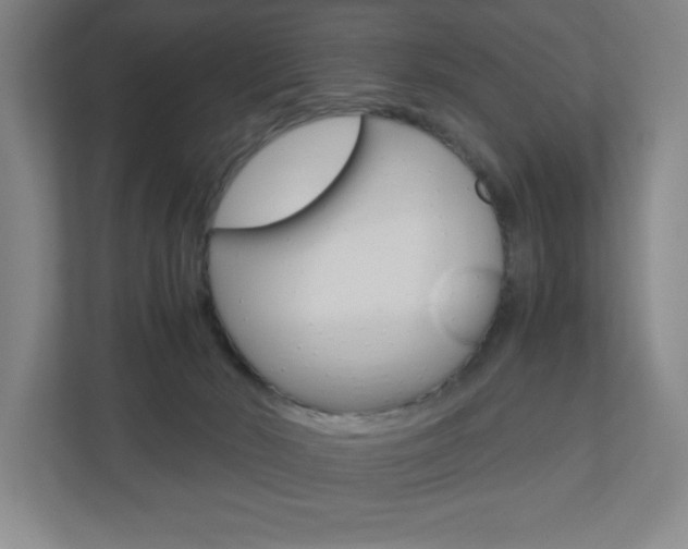 X0000110910030200906181015