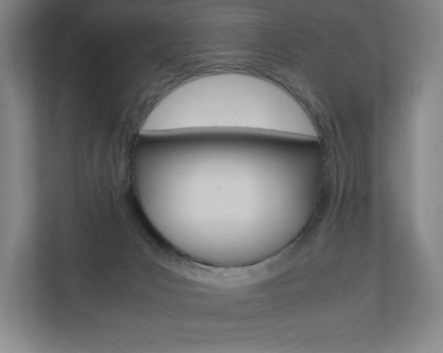 X0000110910031200906181015