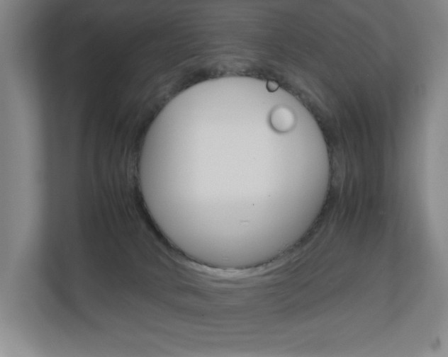 X0000110910034200906181015