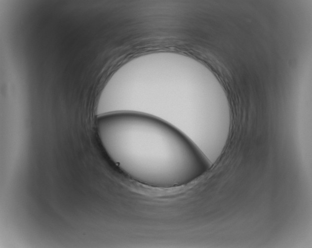 X0000110910035200906181015