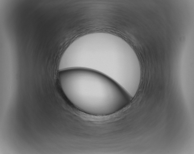 X0000110910039200906181015