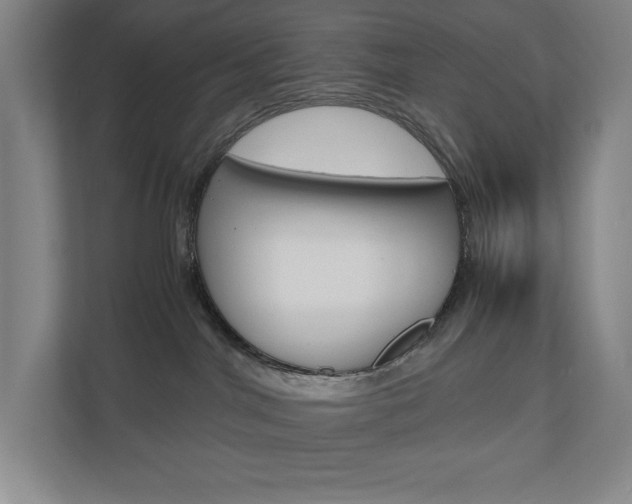 X0000110910044200906181015