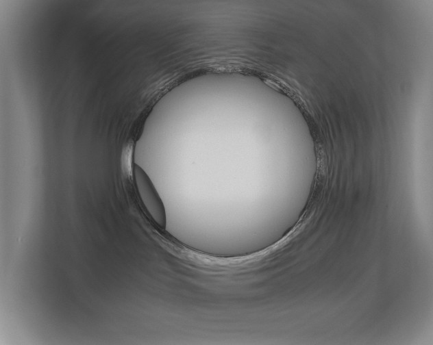 X0000110910047200906181015