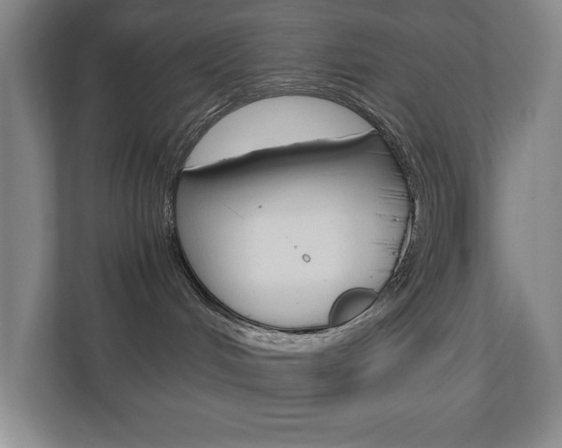 X0000110910048200906181015