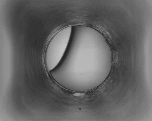 X0000110910051200906181014