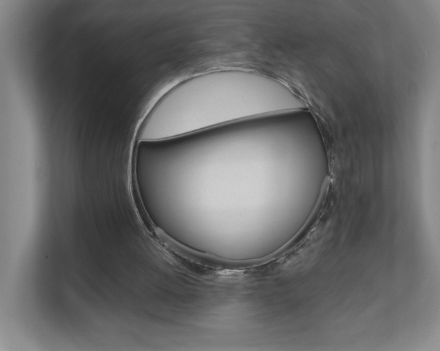 X0000110910052200906181014