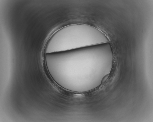 X0000110910053200906181014