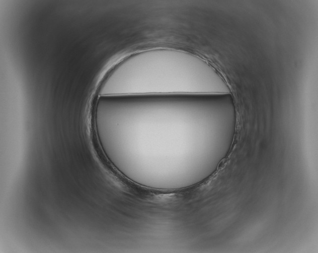 X0000110910054200906181014