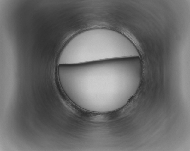 X0000110910058200906181014