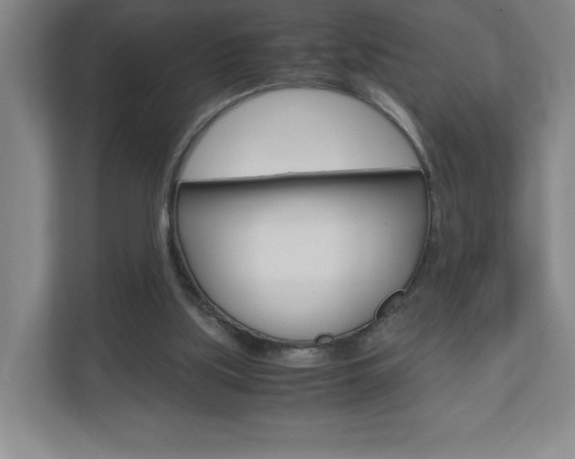 X0000110910059200906181014