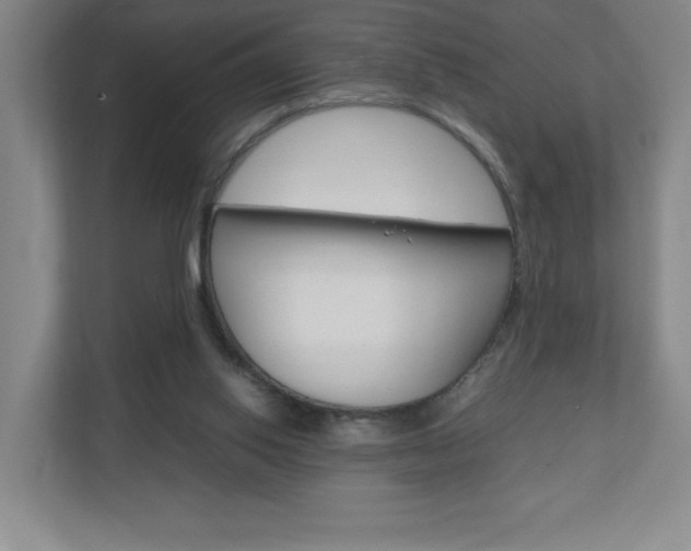 X0000110910062200906181014