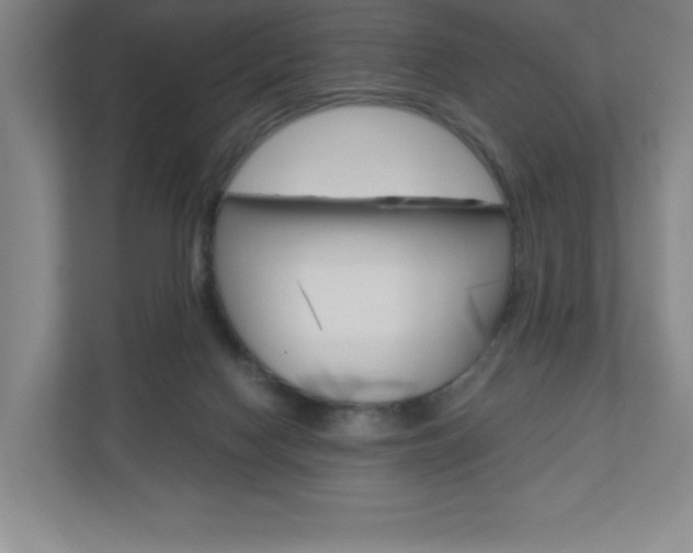 X0000110910074200906181014
