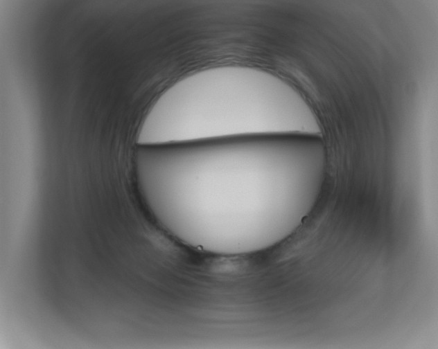 X0000110910077200906181014