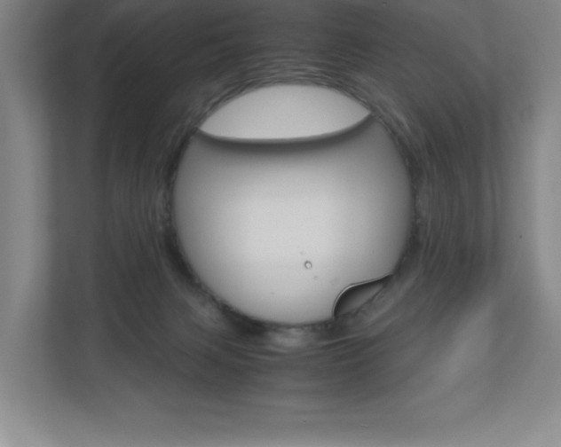 X0000110910079200906181014