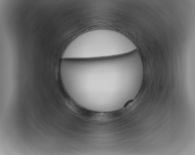 X0000110910082200906181014