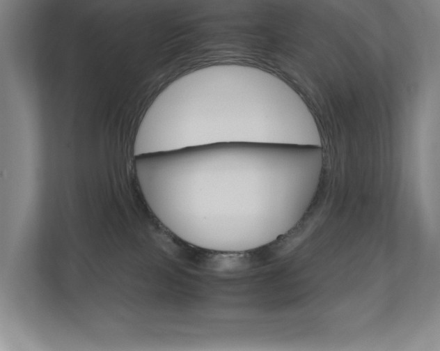 X0000110910089200906181014