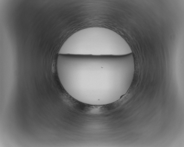 X0000110910090200906181015