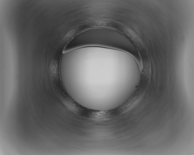 X0000110910092200906181015