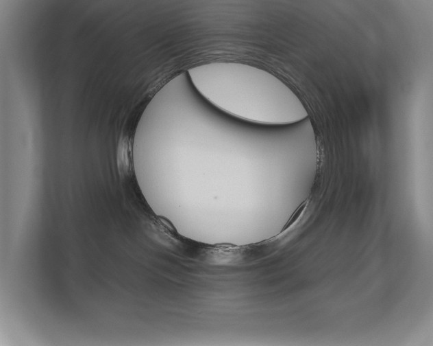 X0000110910094200906181015