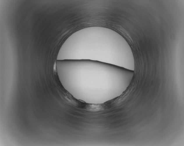 X0000110910095200906181015