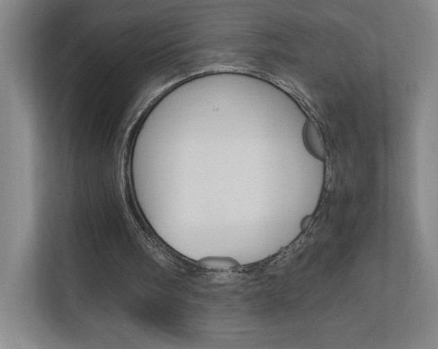 X0000110910098200906181014