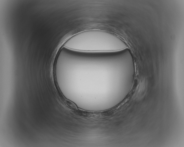 X0000110910099200906181014