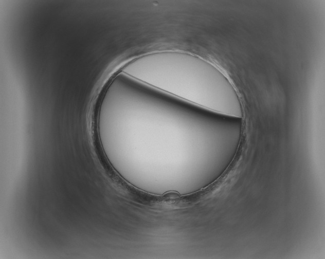X0000110910103200906181014
