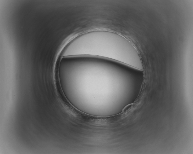 X0000110910104200906181014