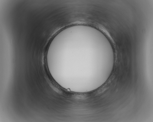 X0000110910106200906181014