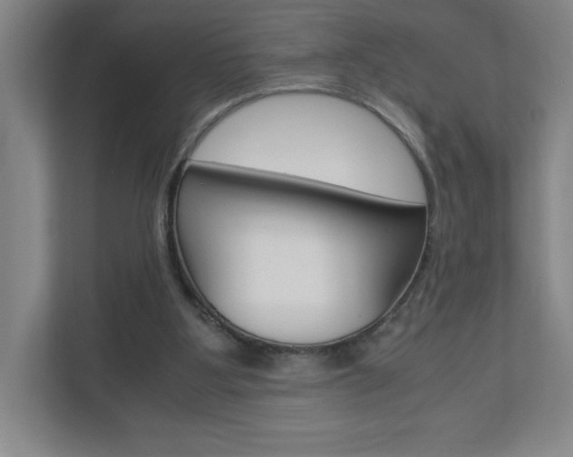 X0000110910107200906181014