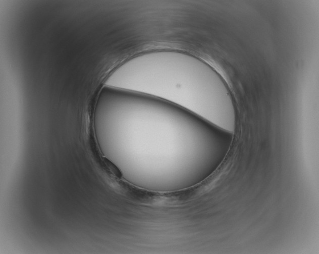 X0000110910109200906181014